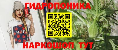 2c-b Заводоуковск