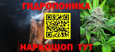гидропоника Жуковский