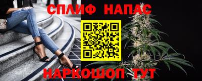 стафф Аргун