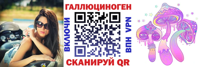 omg маркетплейс  Сунжа  Псилоцибиновые грибы ЛСД  купить наркоту 