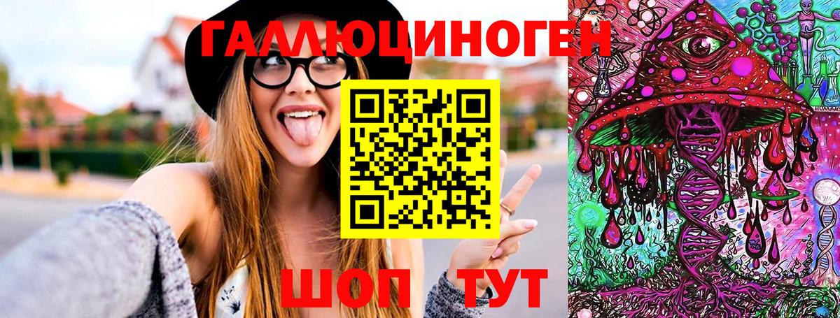 Сунжа  Галлюциногенные грибы Psilocybine cubensis  Вход с VPN  Псилоцибиновые грибы Magic Shrooms 
