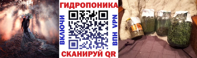 Бошки Шишки LSD WEED  закладки  Сунжа 