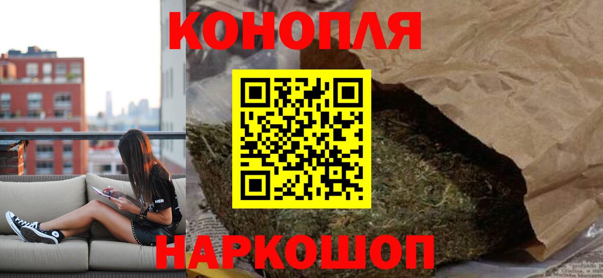 Шишки марихуана сатива  МАРИХУАНА планчик  МАРИХУАНА ГИДРОПОН  Сунжа 